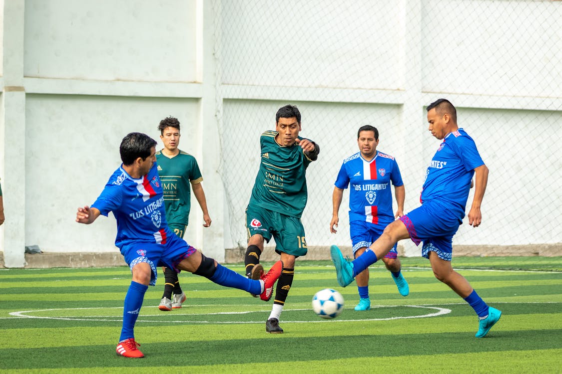 V-League 2024/25